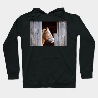 "Beauty in the Barn" Hoodie